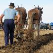 ploughing the hard way